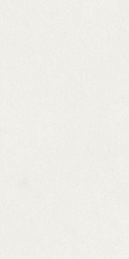 Керамогранит SUPERCLASSICA SCW Hammered (4101024) 60x120 от 41ZERO42 (Италия)