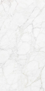 Керамогранит Carrara Giaola Polished (N12045) 60x120 от Neodom (Индия)