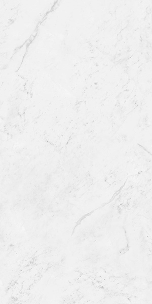 Керамогранит Classic Marble Carrara Antique Polished (N12033) 60x120 60x120 от Neodom (Индия)