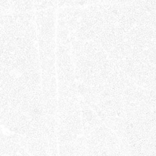 Керамогранит Corneille-R Blanco 15x15 от Vives Ceramica (Испания)