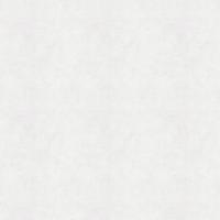 30358 Обои Marburg (Memoria) (1*6) 10,05x1,06 винил на флизелине