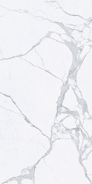 Керамогранит STATUARIO LUC/RET (106040) 60x120 от Tagina (Италия)