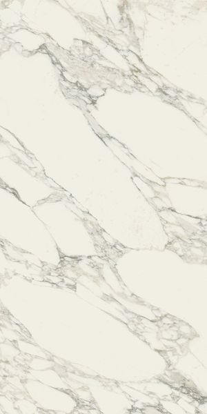 Керамогранит CHA.DEL.ARA.WHITE RET (610010001921) 80x160 от Italon (Россия)