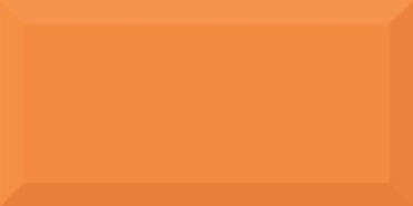 Настенная плитка Monocolor Naranja Biselado Brillo 10x20 10x20 от Absolut Keramika (Испания)