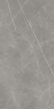 Керамогранит Forte Dei Marmi Elegant Grey Polished (610015000665) 80x160 от Atlas Concorde (Россия)