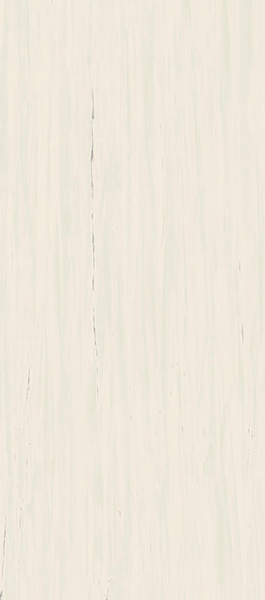 Керамогранит Marvel Stone Bianco Dolomite Lappato (A0BP) 120x278 от Atlas Concorde (Италия)