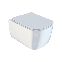 Унитаз подвесной с сиденьем микролифт Iddis Bridge BRIRDSEi25 безободковый