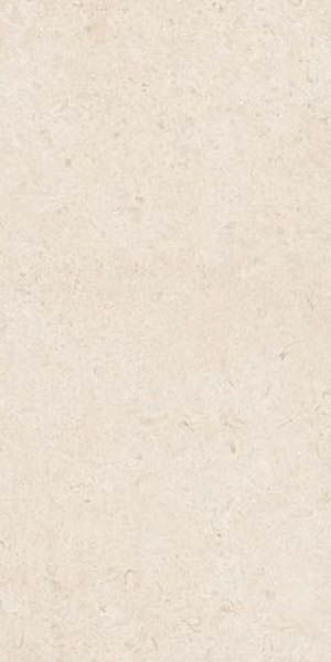 Керамогранит Eterna Blanco rett. (R8JK) 60x120 от Ragno (Италия)