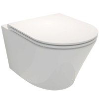 Унитаз подвесной Jacob Delafon Rodin+ EDY102-00 безободковый