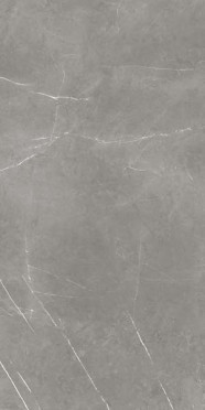 Керамогранит Forte Dei Marmi Elegant Grey Honed Satin (610015000657) 60x120 от Atlas Concorde (Россия)