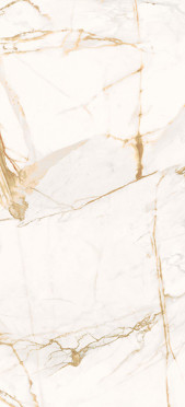 Керамогранит THE WILD SPIRIT CAL.ORO LX RT (0500872) 59.6x119.2 от Roberto Cavalli (Италия)