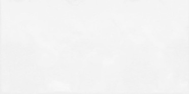 Настенная плитка рельефная Brenta Monocolor (TWU09MNR030) 24 9x50x8.5 от Alma Ceramica (Россия)