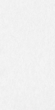 Керамогранит Absolute Ice (D12038M) 120x60x9.5 от Delacora (Россия)