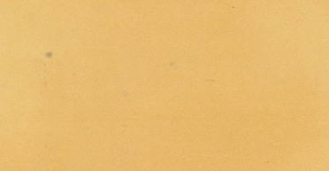 Декор BEL HISTOIRE OCRE LIGNE (VVS1515_112) 7.5x15 от Revoir Paris (Испания)