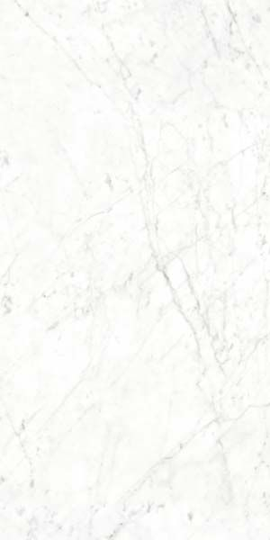 Керамогранит Splendida Carrara Bianco Glossy (CV20187) 60x120 от Neodom (Индия)