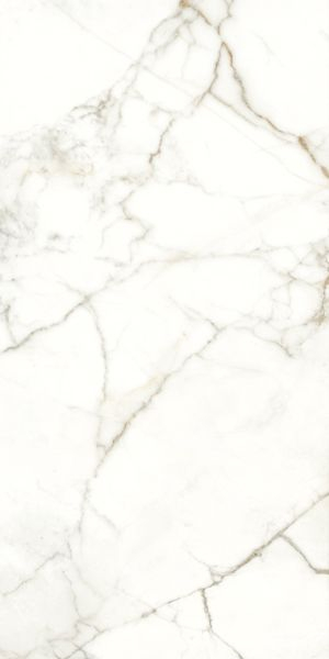 Керамогранит RHAPSODY EMOTION RHAPS.LEV/RETT.(117782) 60x120 от Naxos Ceramica (Италия)