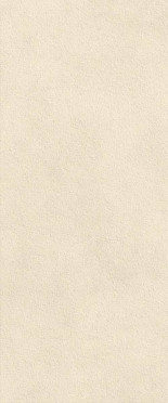 Настенная плитка Boost Expression Grain Shell (AYTU) 50x120 от Atlas Concorde (Италия)