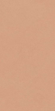 Керамогранит HBE Bioterre TERRA HBE 6 RETT. (GCBE06R) 60x120 от Del Conca (Италия)