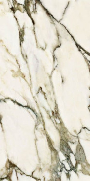 Керамогранит Splendida Calacatta Venato Glossy (CV20218) 60x120 от Neodom (Индия)