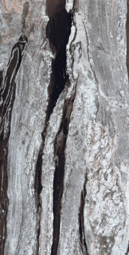 Керамогранит COPACABANA EMPEROR LAPP/RETT (81029) 120x240 от AVA Ceramica (Италия)