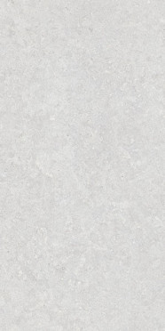 Керамогранит GHENT Silver AS/C/R ректифицированный (31752) 60x120 от Peronda (Испания)