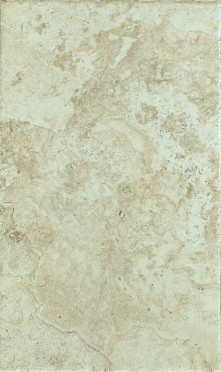 Керамогранит Instone BONE 45 30x45.3 от EDIMAXASTOR (Италия)