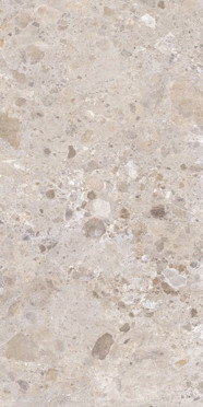 Керамогранит PETRA TAUPE MATT. RECT. 60x120 от Argenta (Испания)