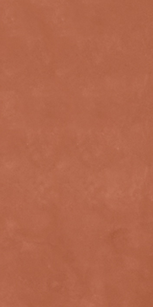 Керамогранит RETINA Rtn6Carmi12Rm 60x120 от Imola Ceramica (Италия)