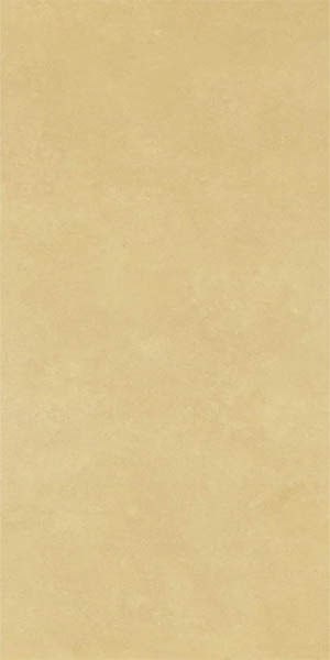 Керамогранит RETINA Rtn6Senap12Rm 60x120 от Imola Ceramica (Италия)