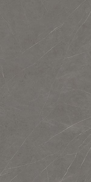 Керамогранит Xlight Premium Liem Grey Polished (C229801491) 120x250 от XLight (Испания)