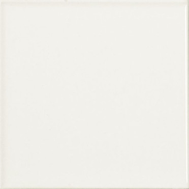 Настенная плитка MONOCOLOR LISO MATE BLANCO 10x10 от Vilar Albaro (Испания)
