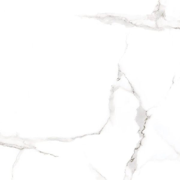 Керамогранит ALSACIA RET 60.5 60.5x60.5 от Cicogres (Испания)