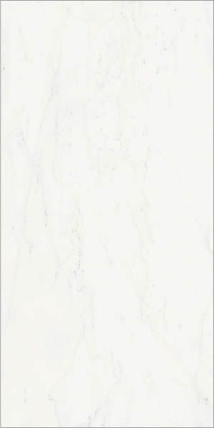 Керамогранит CHA.DEL.B.MICHEL. CER (610015000494) 60x120 от Italon (Россия)