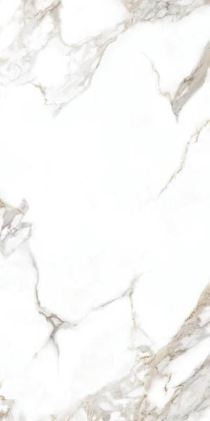 Керамогранит AOZ5 OOOC Carrera White Silky Rectified 59.7x119.8 от Goldis Tile (Иран)