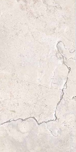 Керамогранит MEMENTO LIMOG.WHIT ANT R (12319) 60x120 от Ariana (Италия)