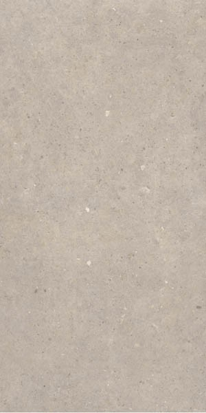 Керамогранит Cement Stone Greige 60x120 от Sanchis Home (Испания)