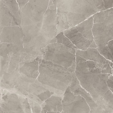 Керамогранит PURITY OF MARBELE ELEGANT GREIGE LUX RT (60EG) 60x60 от Supergres Ceramiche (Италия)