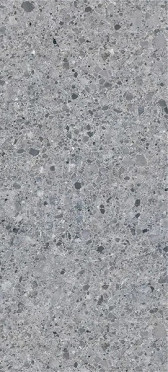 Керамогранит Graphite Grey Polished (6 мм) (MN228AP261206) 120x260 от Moreroom (Китай)