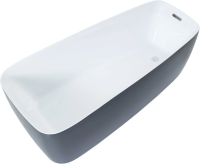 Акриловая ванна Aquanet Family Trend 170x78 90778 Matt Finish панель Black matte 90778-MW-MB