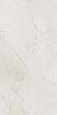 Керамогранит Flority Ash Glossy 60x120 от Maimoon Ceramica (Индия)