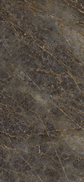 Керамогранит Aesthetica AE GOL6 278 LP (AEGOL6278LP) 120x278 от La Faenza (Италия)