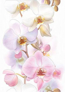 Декор Tropicana Orchids (TC2M051DT) 25x35 от Cersanit (Россия)