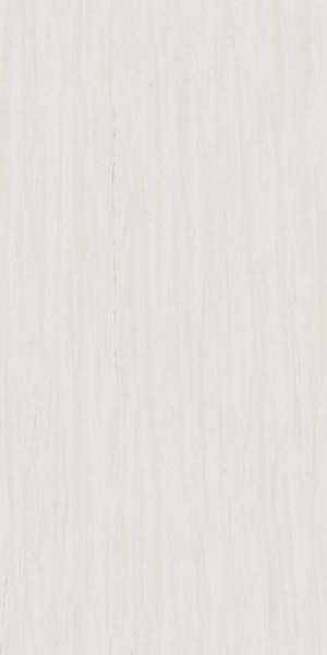 Керамогранит Marvel Stone Bianco Dolomite Lappato (AZTV) 120x240 от Atlas Concorde (Италия)