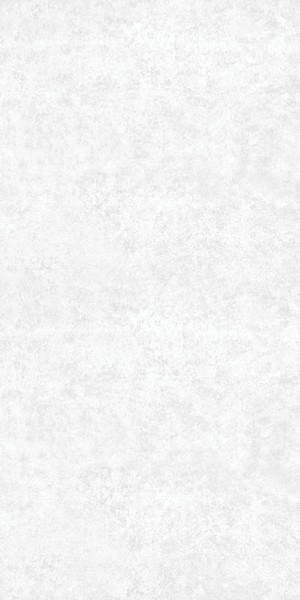 Керамогранит A0YB AA0H 1M Rio White Matt Rectified 59.7x119.8 от Goldis Tile (Иран)