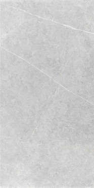 Керамогранит NORTHON LIGHT GREY PUL RECT. (CAS1NORODPKA) 60x120 от Keratile-KTL (Испания)