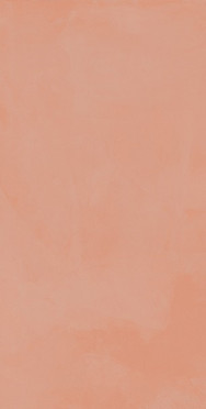 Керамогранит TOUCH EVO CORAL NAT. 60x120 от La Fenice (Италия)