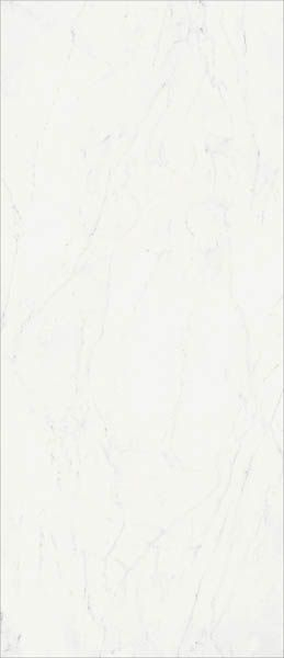 Керамогранит CHA.DEL.B.MICHEL. LUX (600180000004) 120x278 от Italon (Россия)