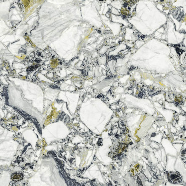 Керамогранит FORTE DEI MARMI QUARK CEPPO APUANO FOREST Lapp (610015000703) 80x80 от Atlas Concorde (Россия)