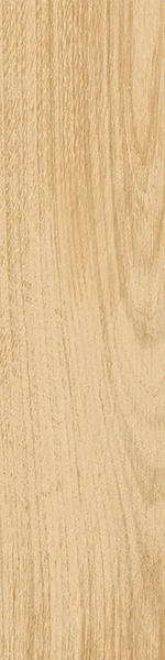 Керамогранит Аргания бежевый матовый (KM1040G0011N) 9.9x40.2x0.8 от Kerama Marazzi (Россия)