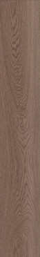 Керамогранит POETRY WOOD OAK NAT RETT 120 20x120 от ABK Ceramiche (Италия)